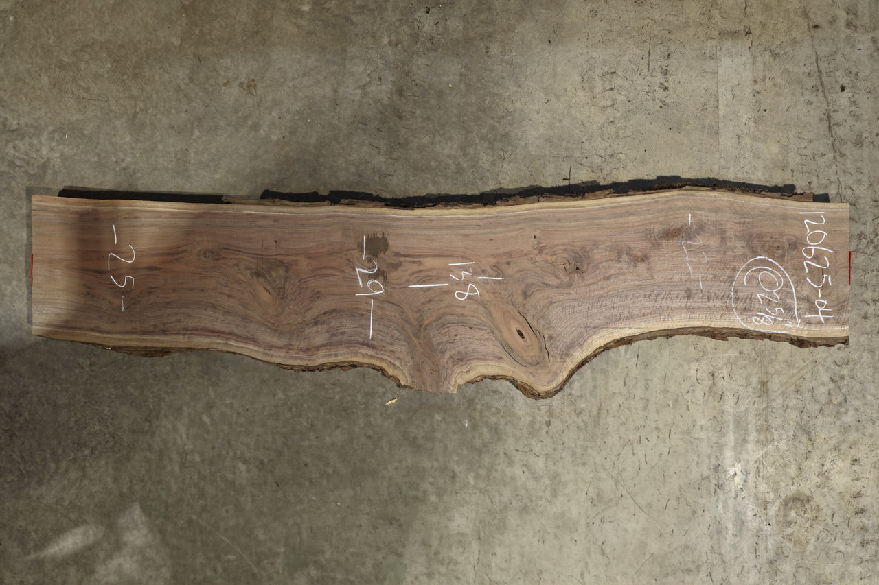Oregon Black Walnut Slab 120625-04