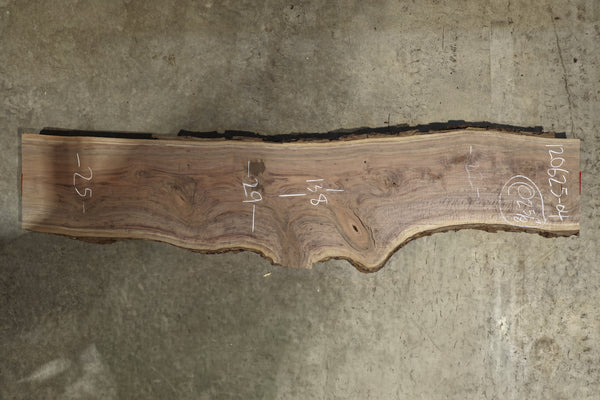 Oregon Black Walnut Slab 120625-04