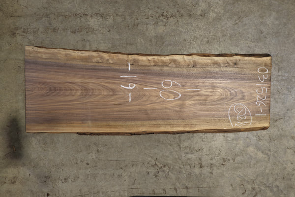 Oregon Black Walnut Slab 031526-1
