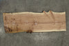 Oregon Redwood Slab 120625-9