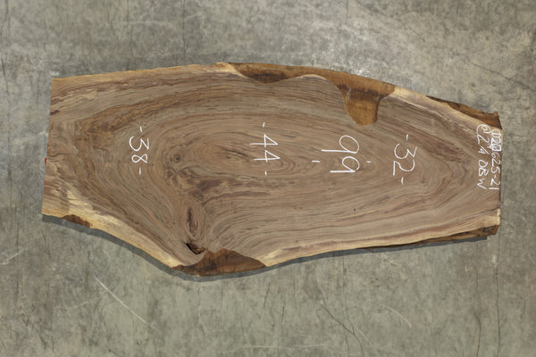 Oregon Black Walnut Slab 120625-21