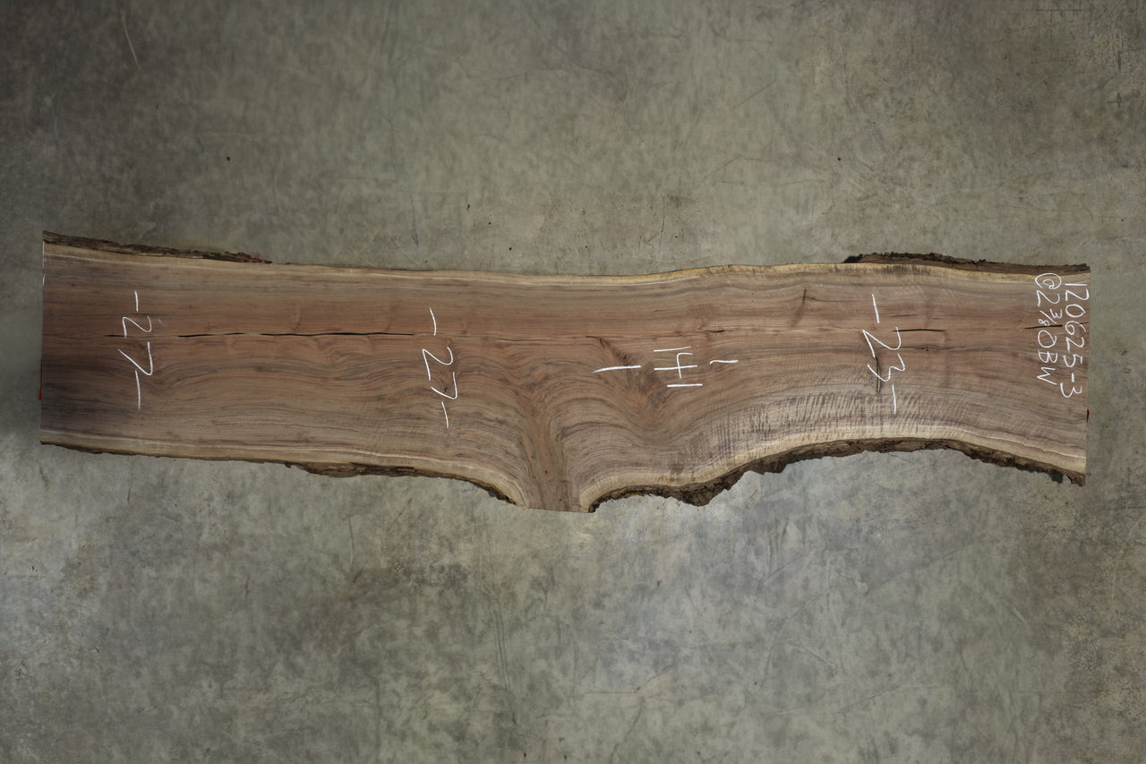 Oregon Black Walnut Slab 120625-3