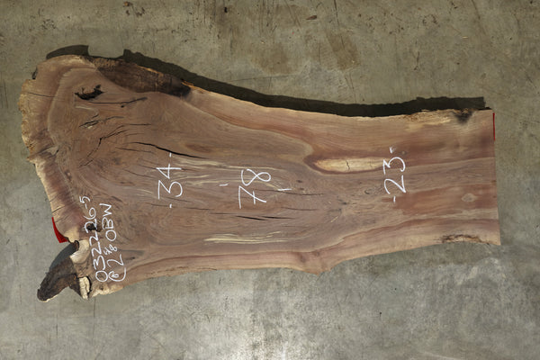 Oregon Black Walnut Slab 032226-5