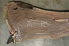 Oregon Black Walnut Slab 032226-5
