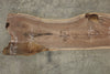 Oregon Black Walnut Slab 032926-11