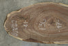 Oregon Black Walnut Slab 120625-19