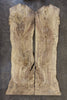 Big Leaf Maple Bookmatch BMMPL-1524