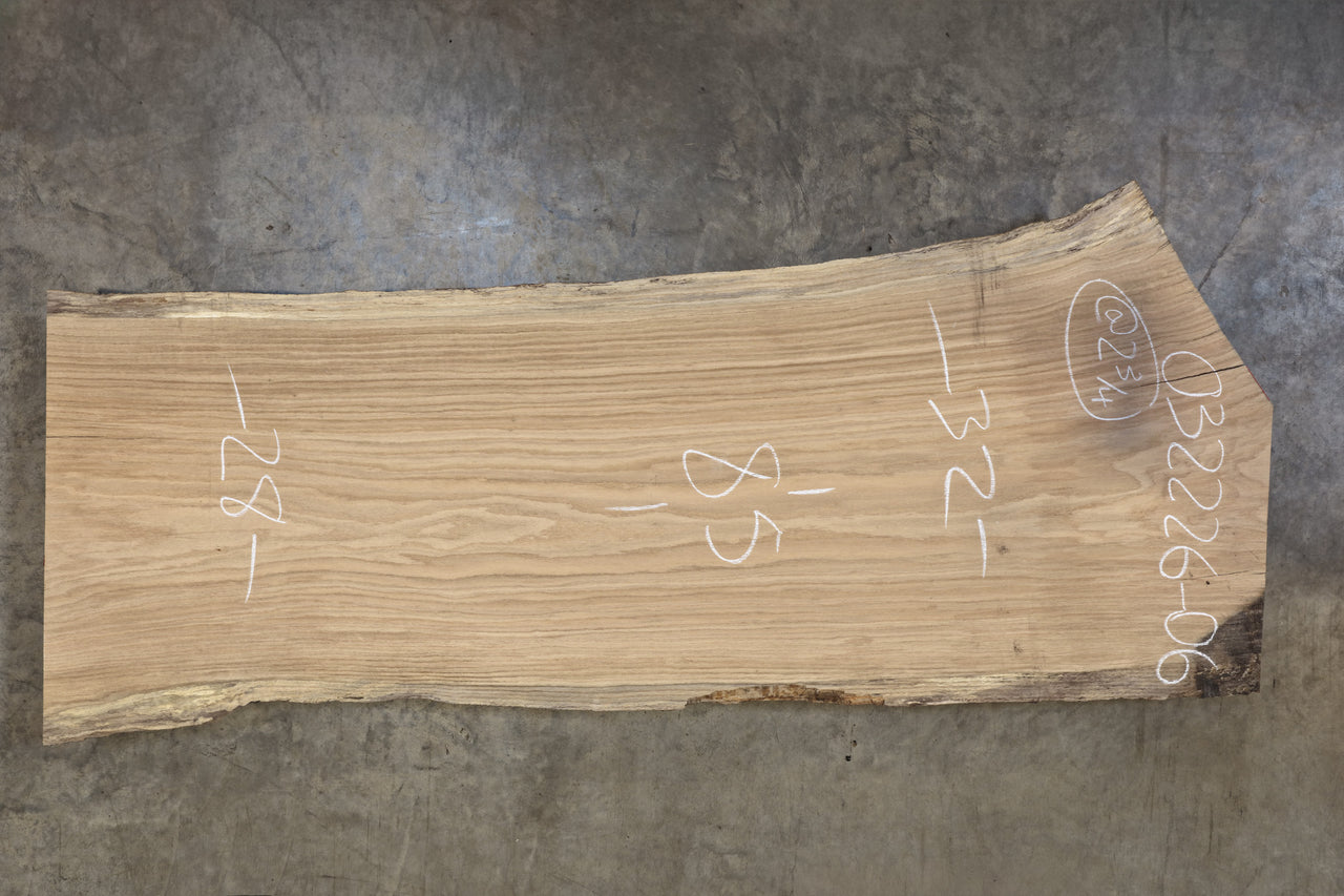 Elm Slab 032226-06
