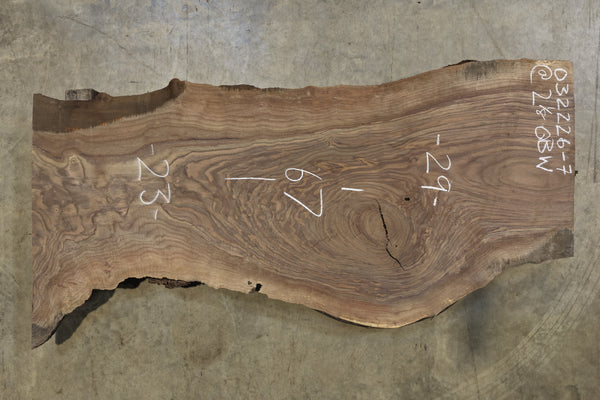Oregon Black Walnut Slab 032226-7
