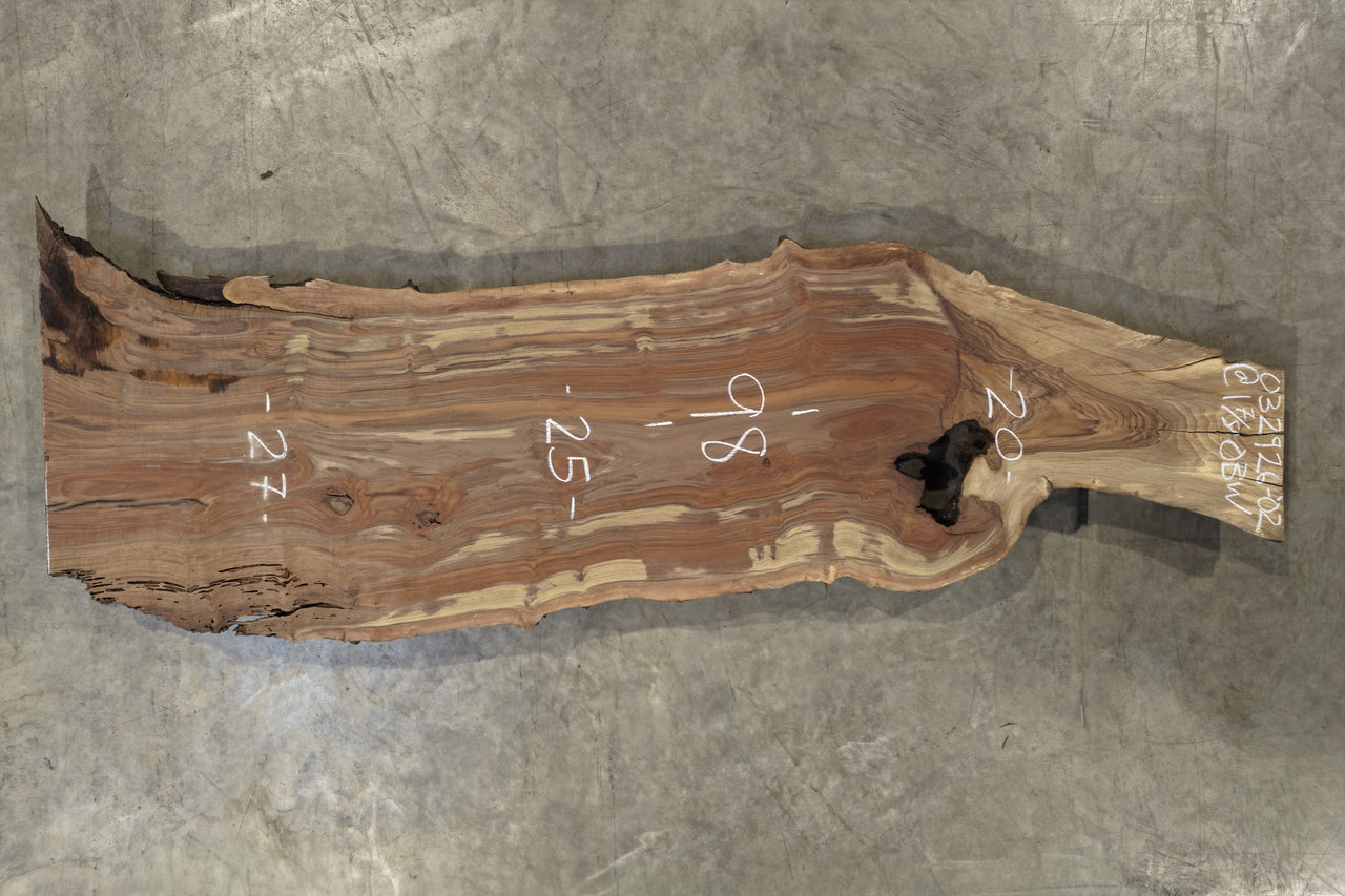 Oregon Black Walnut Slab 032926-02