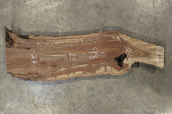Oregon Black Walnut Slab 032926-02