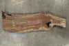 Oregon Black Walnut Slab 032926-02