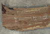 Oregon Black Walnut Slab 032926-02