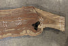 Oregon Black Walnut Slab 032926-02