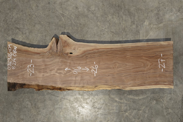 Oregon Black Walnut Slab 032926-04