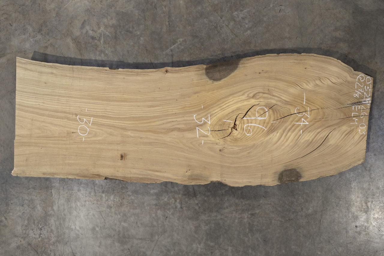 Elm Slab 032926-03