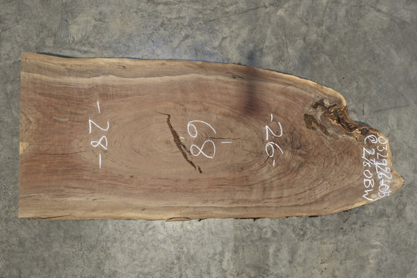 Oregon Black Walnut Slab 032926-05