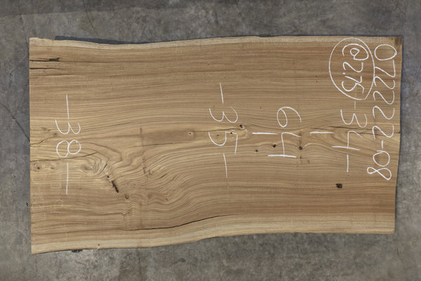 Elm Slab 072222-08