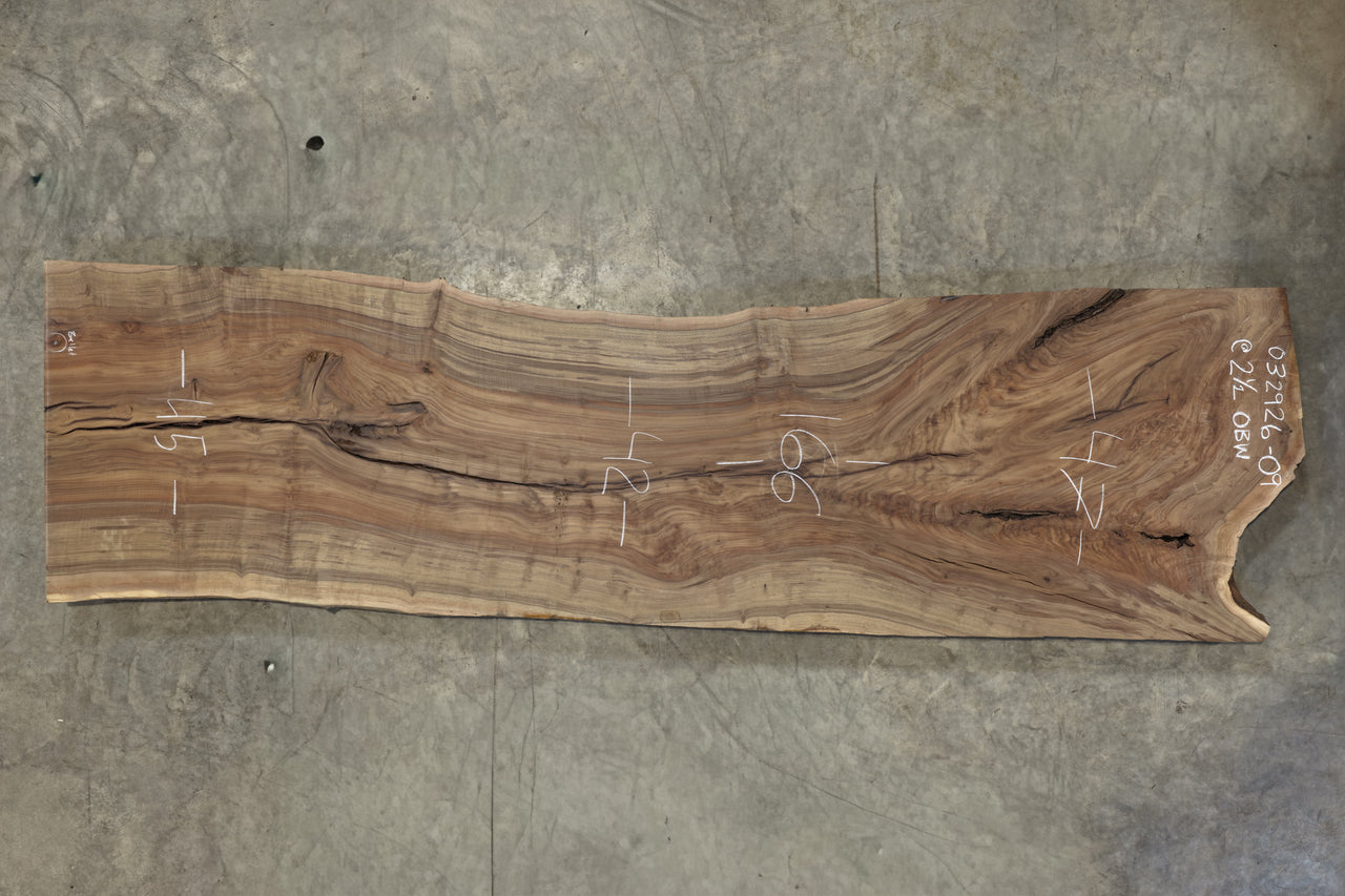 Oregon Black Walnut Slab 032926-09