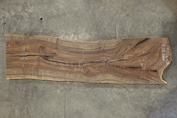 Oregon Black Walnut Slab 032926-09