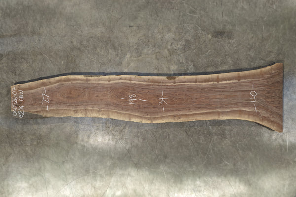 Oregon Black Walnut Slab 040526-07