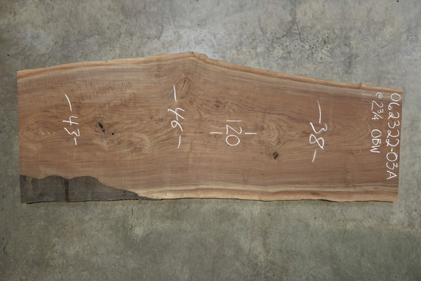 Oregon Black Walnut Slab 062322-03A