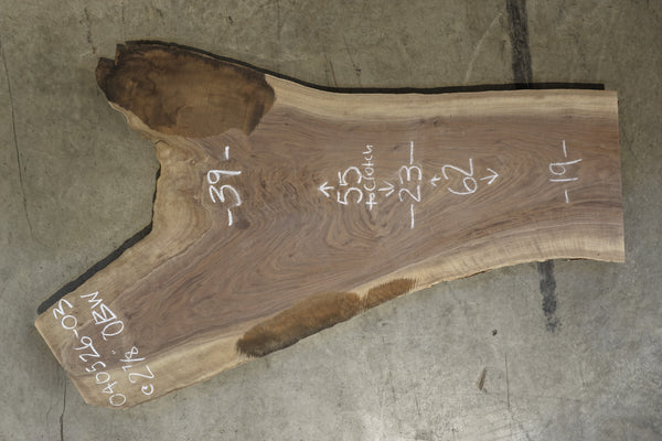 Oregon Black Walnut Slab 040526-03