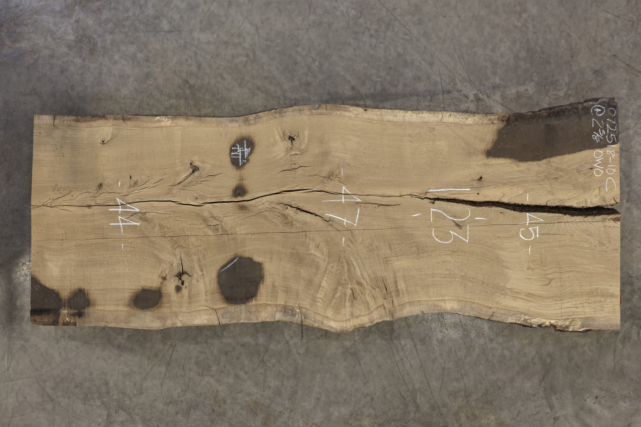 Oregon White Oak 072518-10C