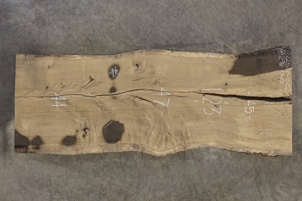 Oregon White Oak 072518-10C
