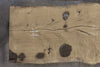 Oregon White Oak 072518-10C