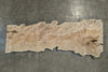 Big Leaf Maple Slab 080921-08