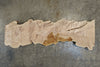 Big Leaf Maple Slab 080921-04C