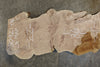 Big Leaf Maple Slab 080921-04C