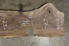 Oregon Black Walnut Slab 032322-11