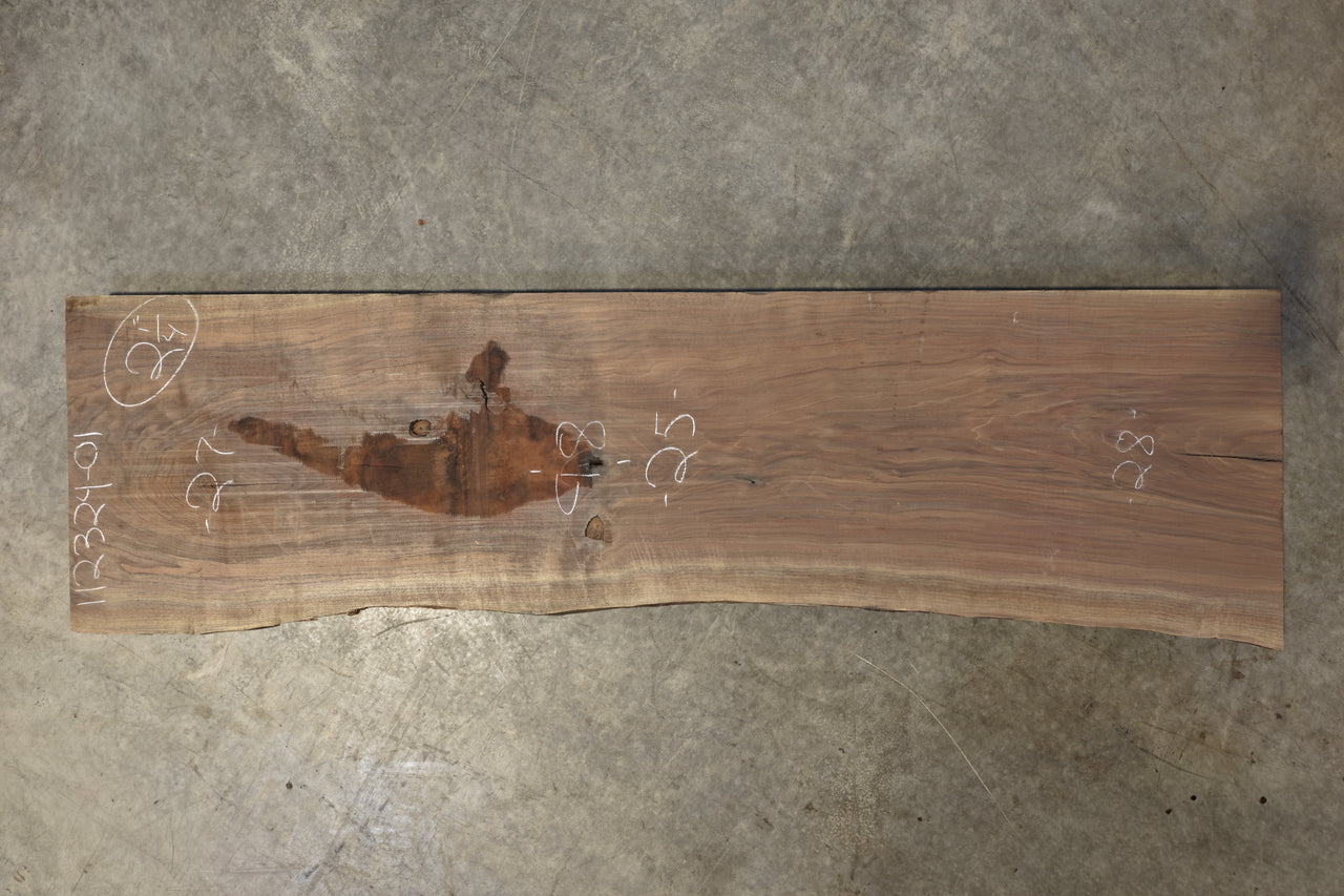 Oregon Black Walnut Slab 112325-01
