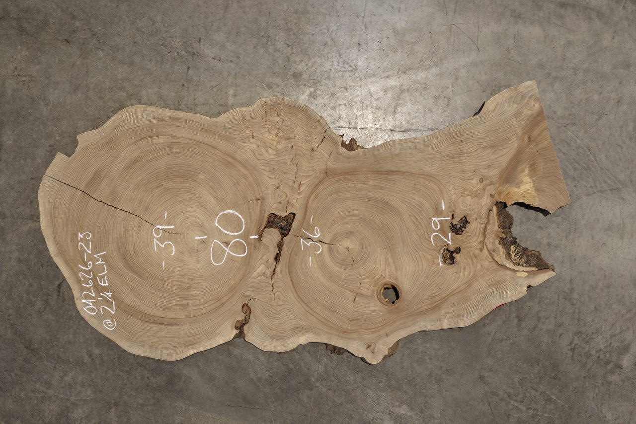 Elm Cookie Slab 042626-23