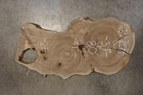 Elm Cookie Slab 042626-22