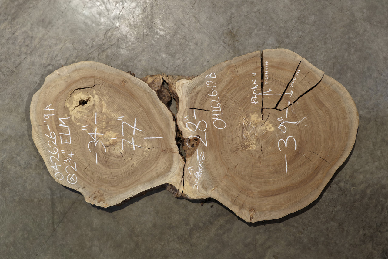 Elm Cookie Slab 042626-19A