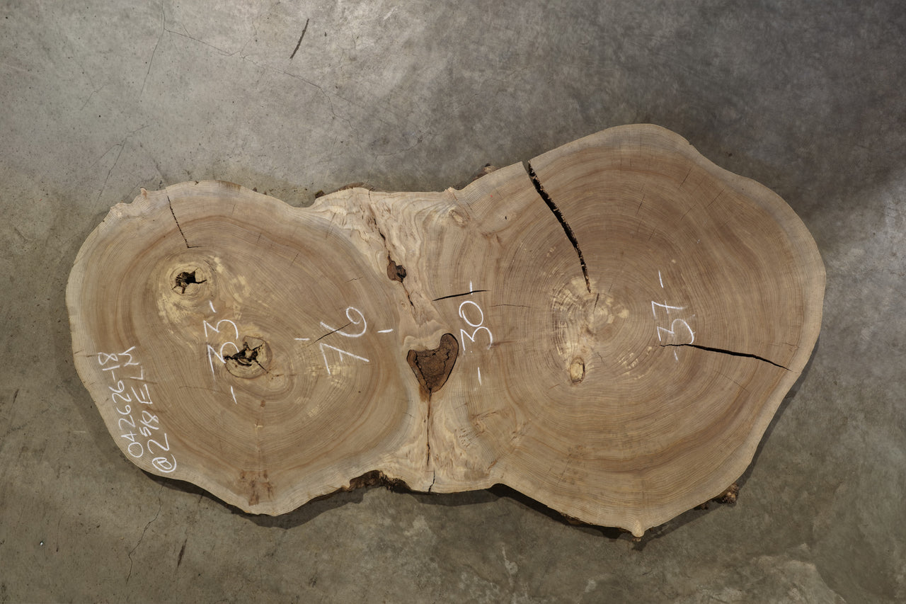 Elm Cookie Slab 042626-18