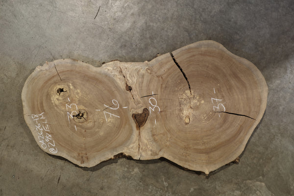 Elm Cookie Slab 042626-18