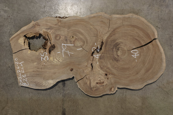 Elm Cookie Slab 042626-20