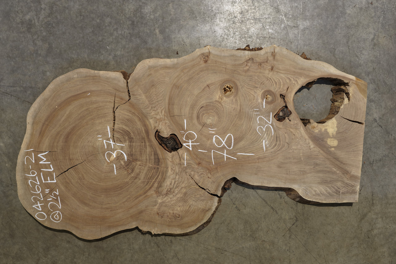 Elm Cookie Slab 042626-21