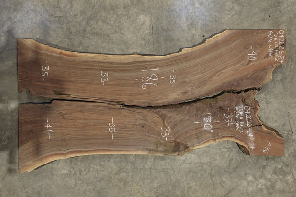 Oregon Black Walnut Slab 042626-TV10