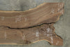 Oregon Black Walnut Slab 042626-TV10