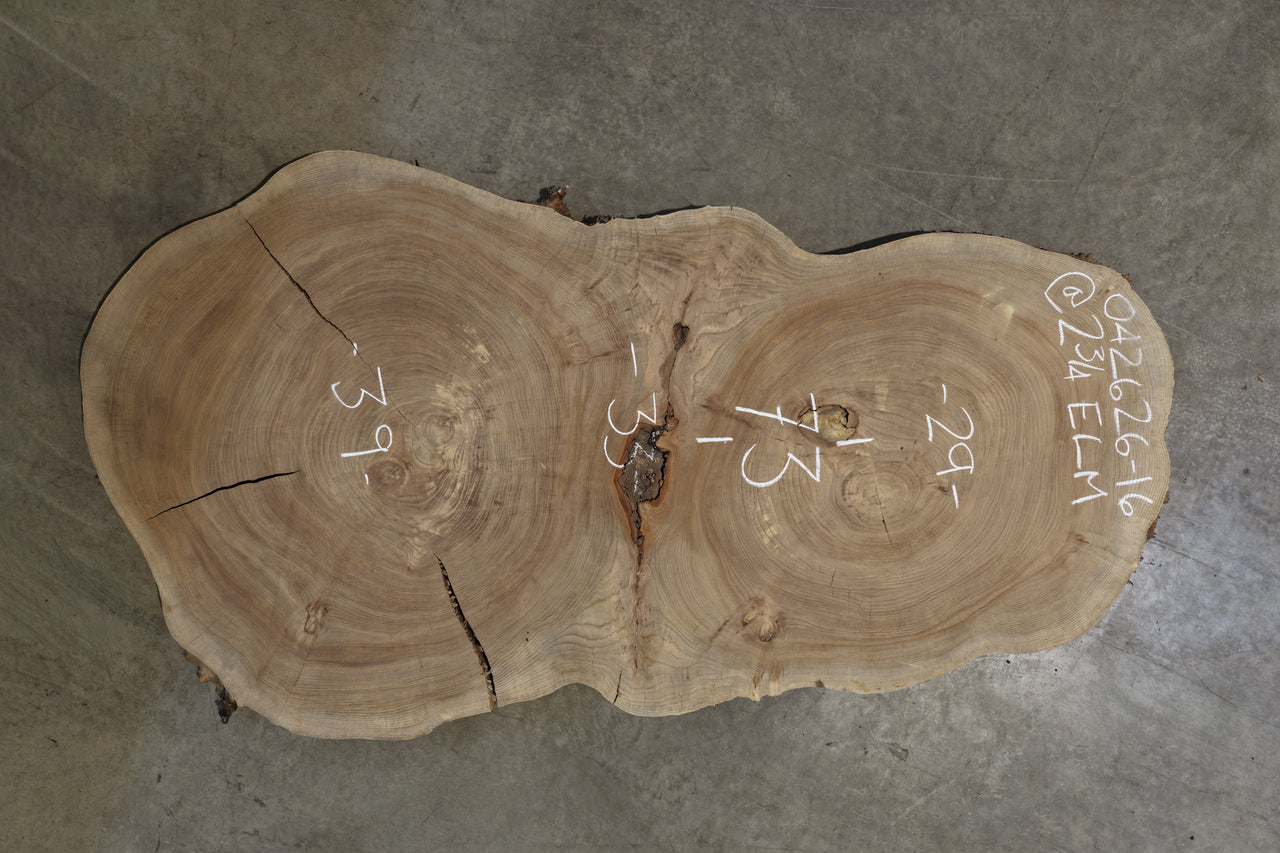 Elm Cookie Slab 042626-16