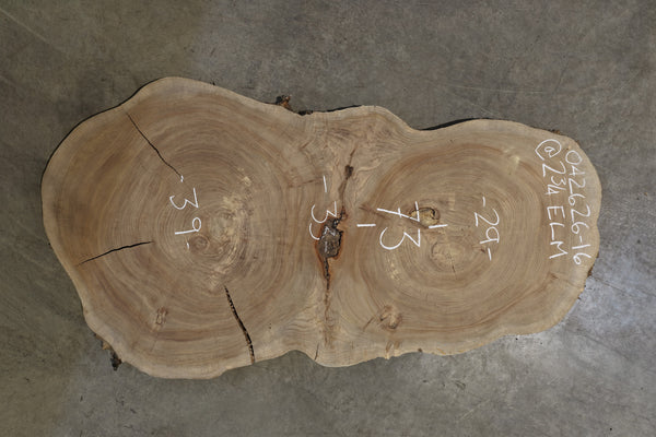 Elm Cookie Slab 042626-16