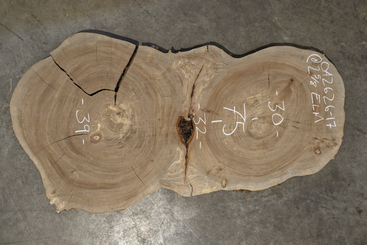 Elm Cookie Slab 042626-17