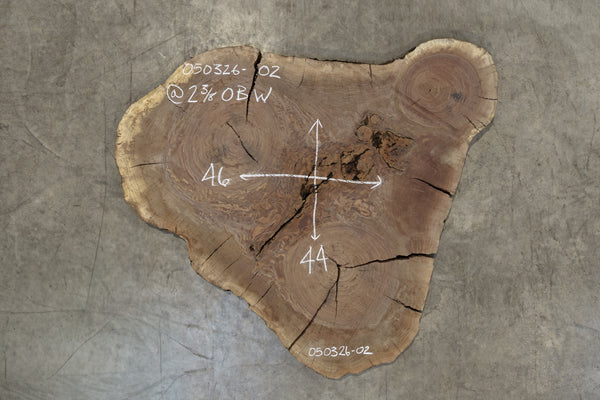 Oregon Black Walnut Round 050326-02
