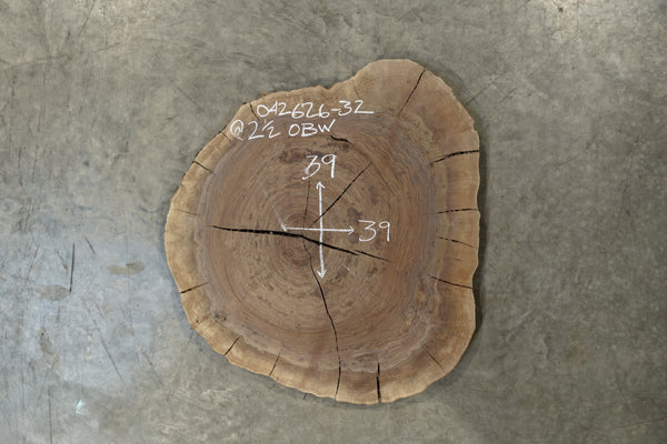 Oregon Black Walnut Round 042626-32