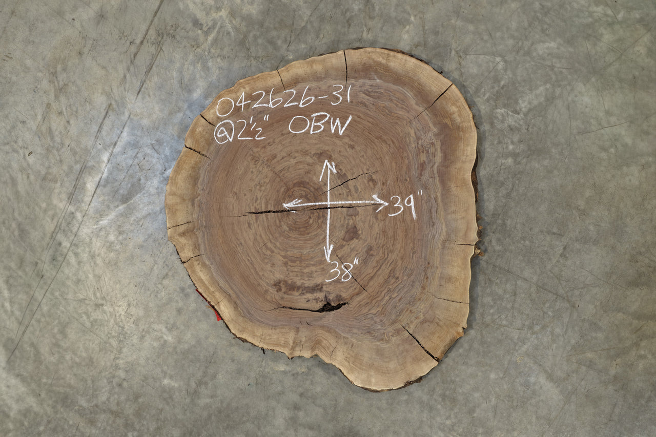 Oregon Black Walnut Round 042626-31